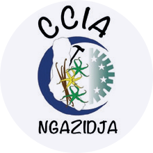 logo CCIA NGAZIDJA